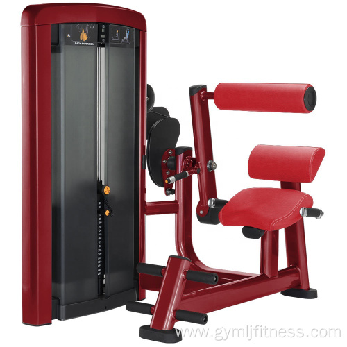 Gym Exercise Fitness Pin Loaded Back Extension Machine